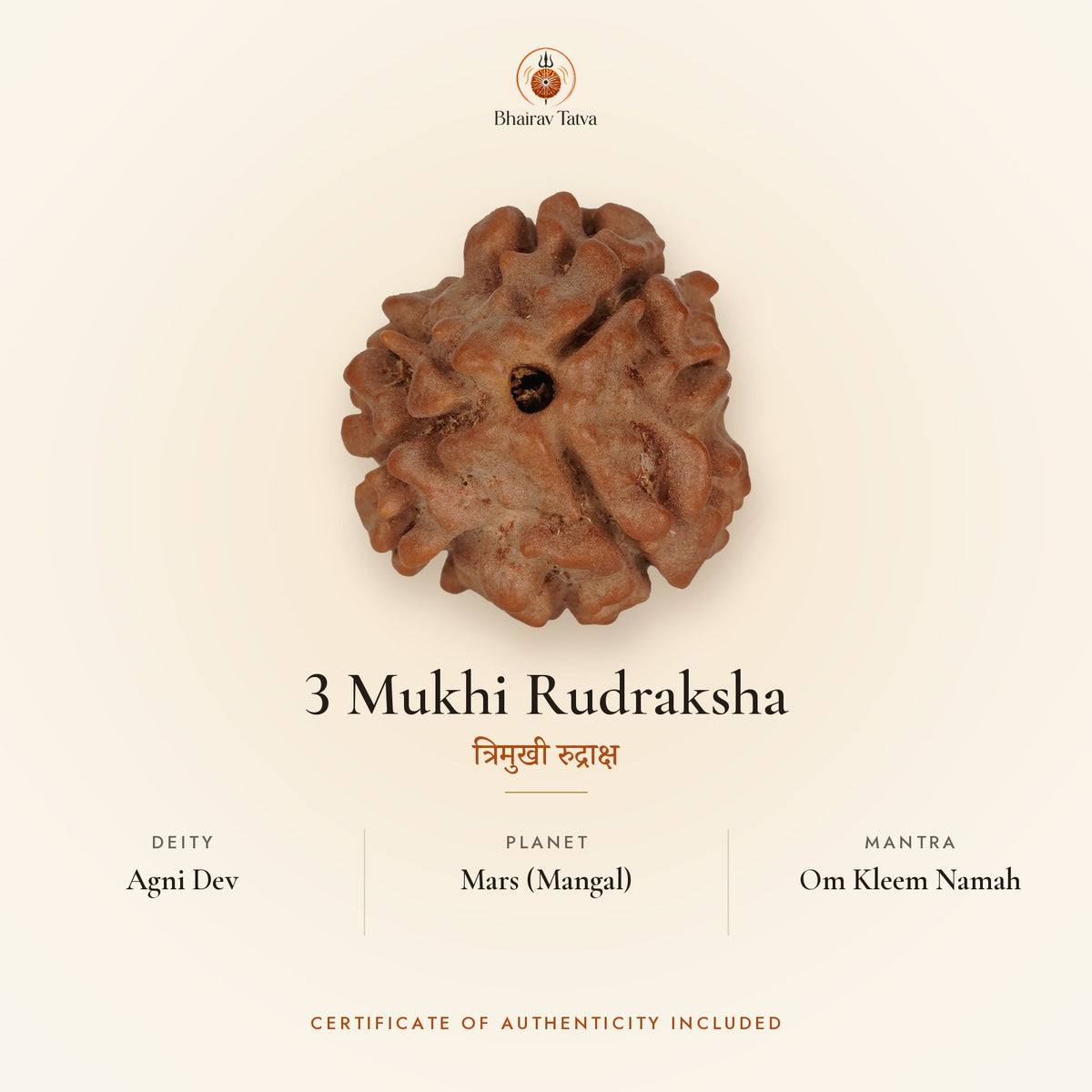 3 Mukhi Rudraksha: deity Agni Dev, planet Mars (Mangal), mantra Om Kleem Namah