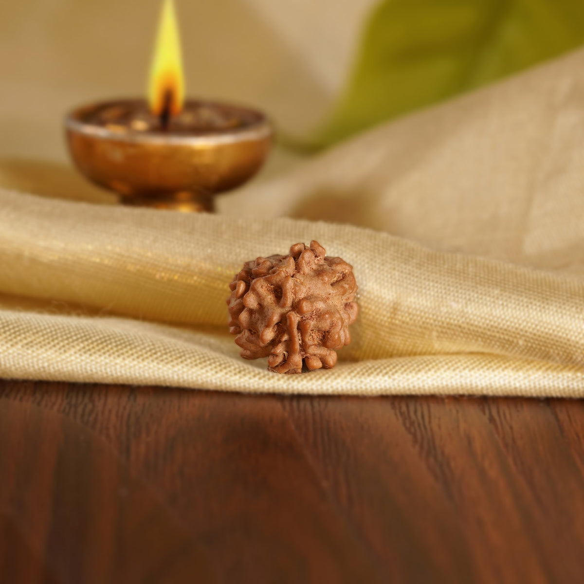 Back of the 3 Mukhi Rudraksha on silk