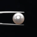 Pearl - 3586