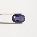 Iolite - 2957