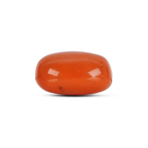 Red Coral - 4781