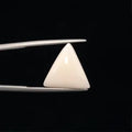 White Coral - 3240