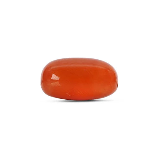 Red Coral - 4779