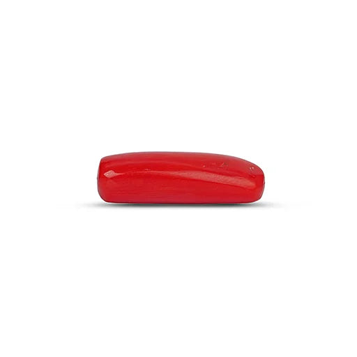Red Coral - 5112