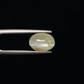 Cats Eye - 3356