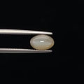 Cats Eye - 3379