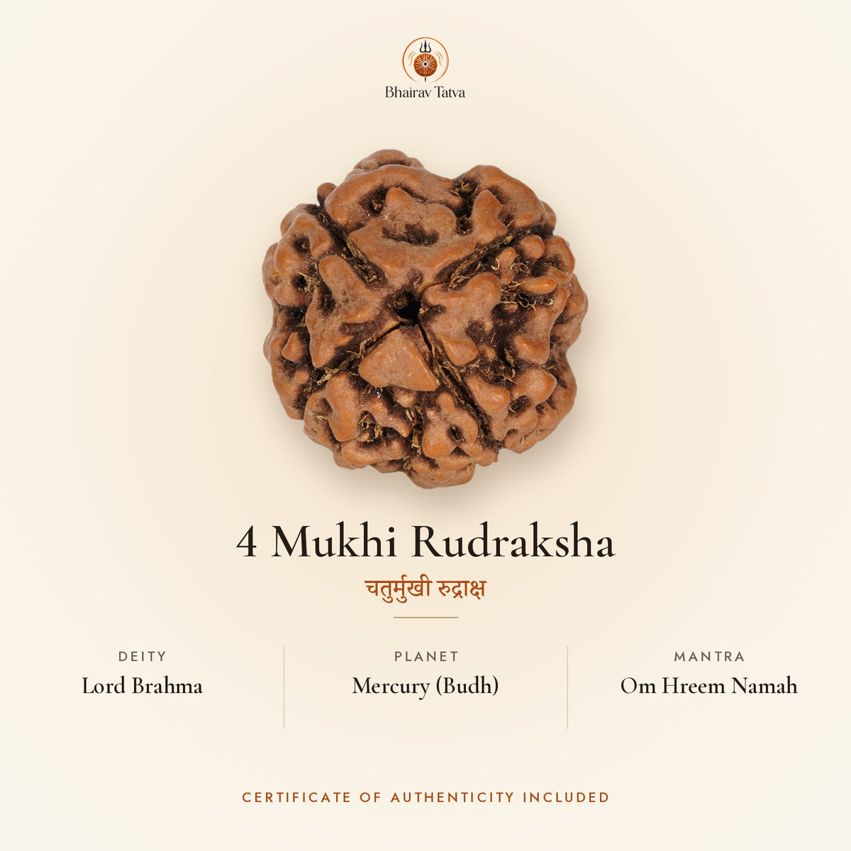 4 Mukhi Rudraksha: deity Lord Brahma, planet Mercury (Budh), mantra Om Hreem Namah