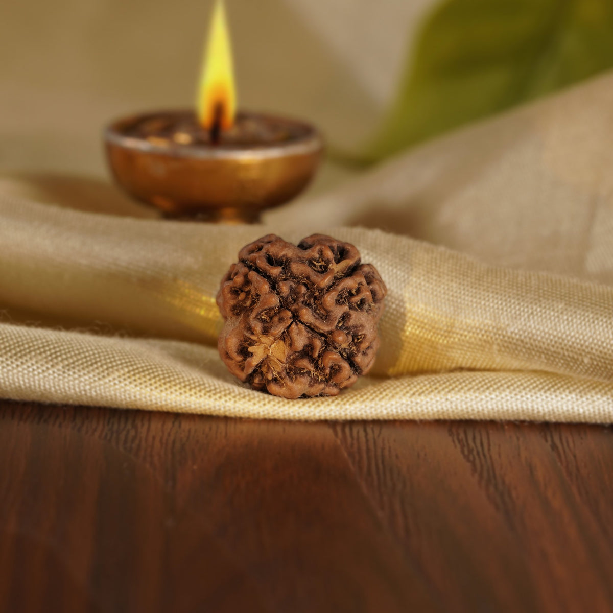 Back of the 4 Mukhi Rudraksha on silk