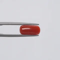 Red Coral - 130