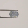 Pitambari Sapphire - 3335