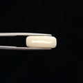 White Coral - 3276