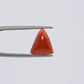 Red Coral - 3662