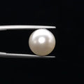 Pearl - 3608