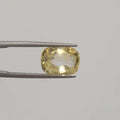 Yellow Sapphire - 3019