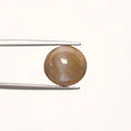 Cats Eye - 871