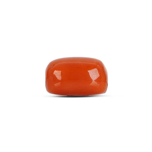 Red Coral - 4786