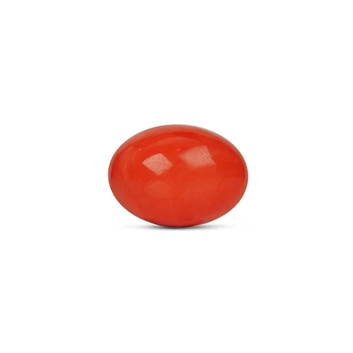 Red Coral - 5115