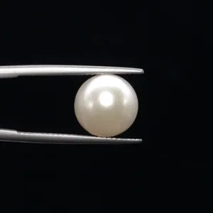Pearl - 3592