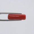 Red Coral - 1553