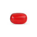 Red Coral - 5113