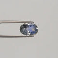 Pitambari Sapphire - 3124