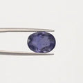 Iolite - 2919
