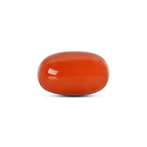 Red Coral - 4779