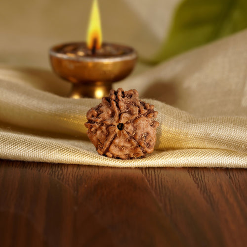 Front of the 5 Mukhi Rudraksha on silk beside a brass diya