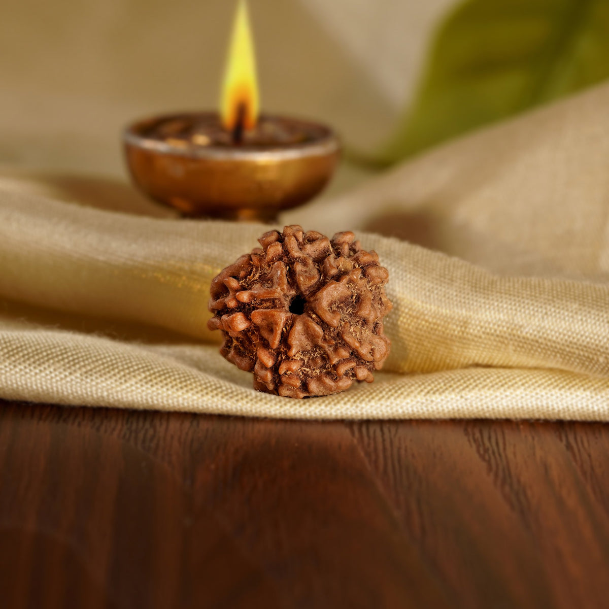 Back of the 5 Mukhi Rudraksha on silk