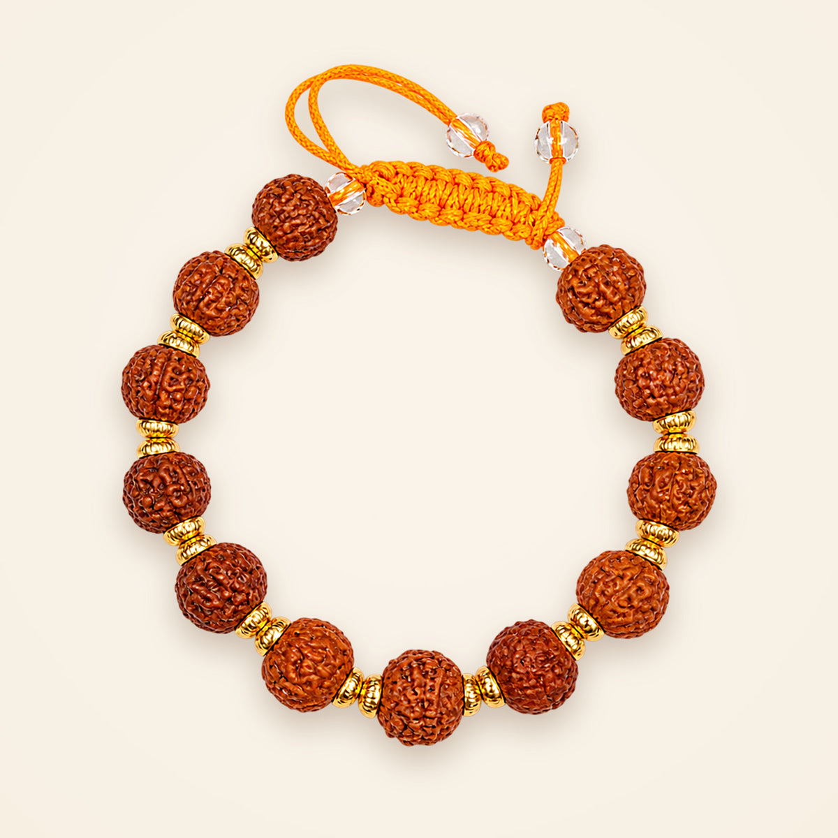 5 Mukhi Rudraksha Bracelet, top view on an ivory background