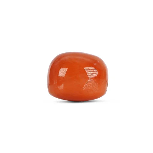 Red Coral - 4784