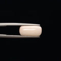 White Coral - 765