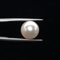 Pearl - 3596