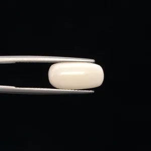 White Coral - 3268
