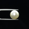 Pearl - 2733