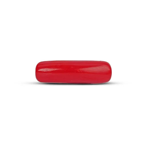 Red Coral - 5111