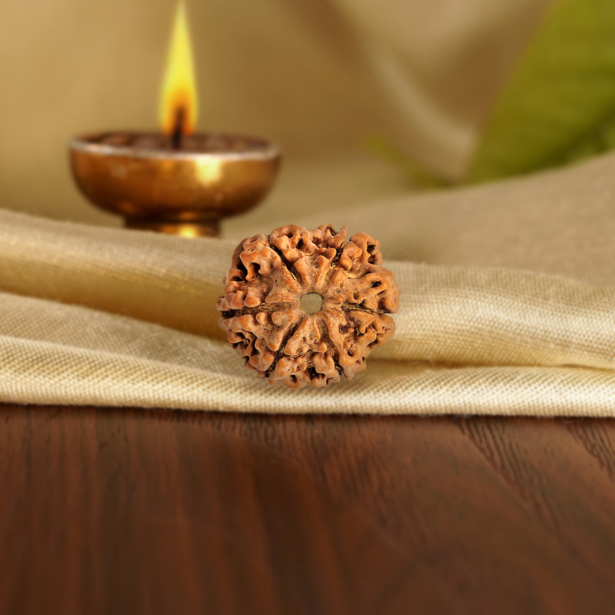 Front of the 6 Mukhi Rudraksha on silk beside a brass diya