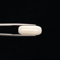 White Coral - 3275