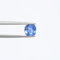 Blue Sapphire - 3730