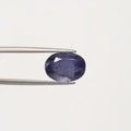 Iolite - 2873