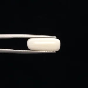 White Coral - 3266