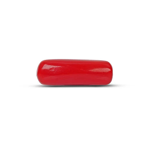 Red Coral - 5110