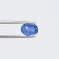 Blue Sapphire - 3731