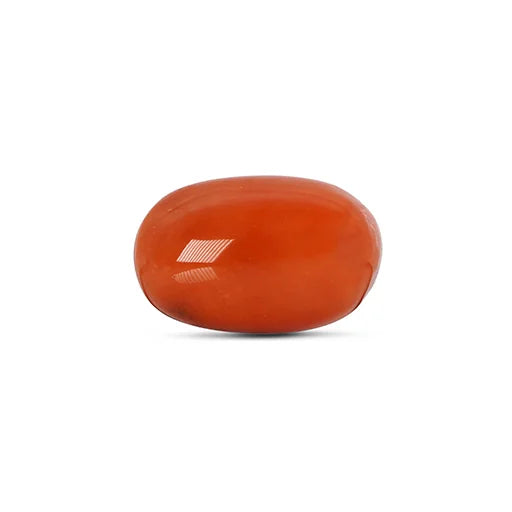 Red Coral - 4782