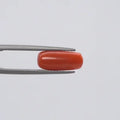 Red Coral - 116