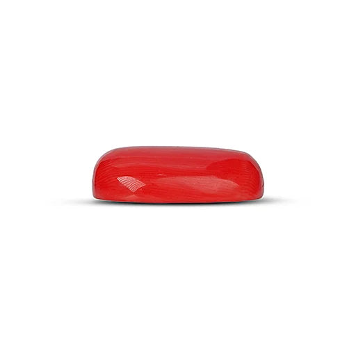 Red Coral - 5113