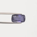 Iolite - 2890