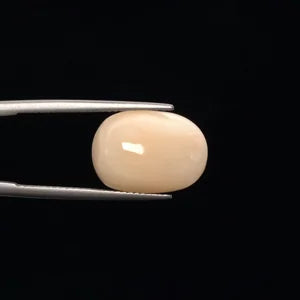 White Coral - 777