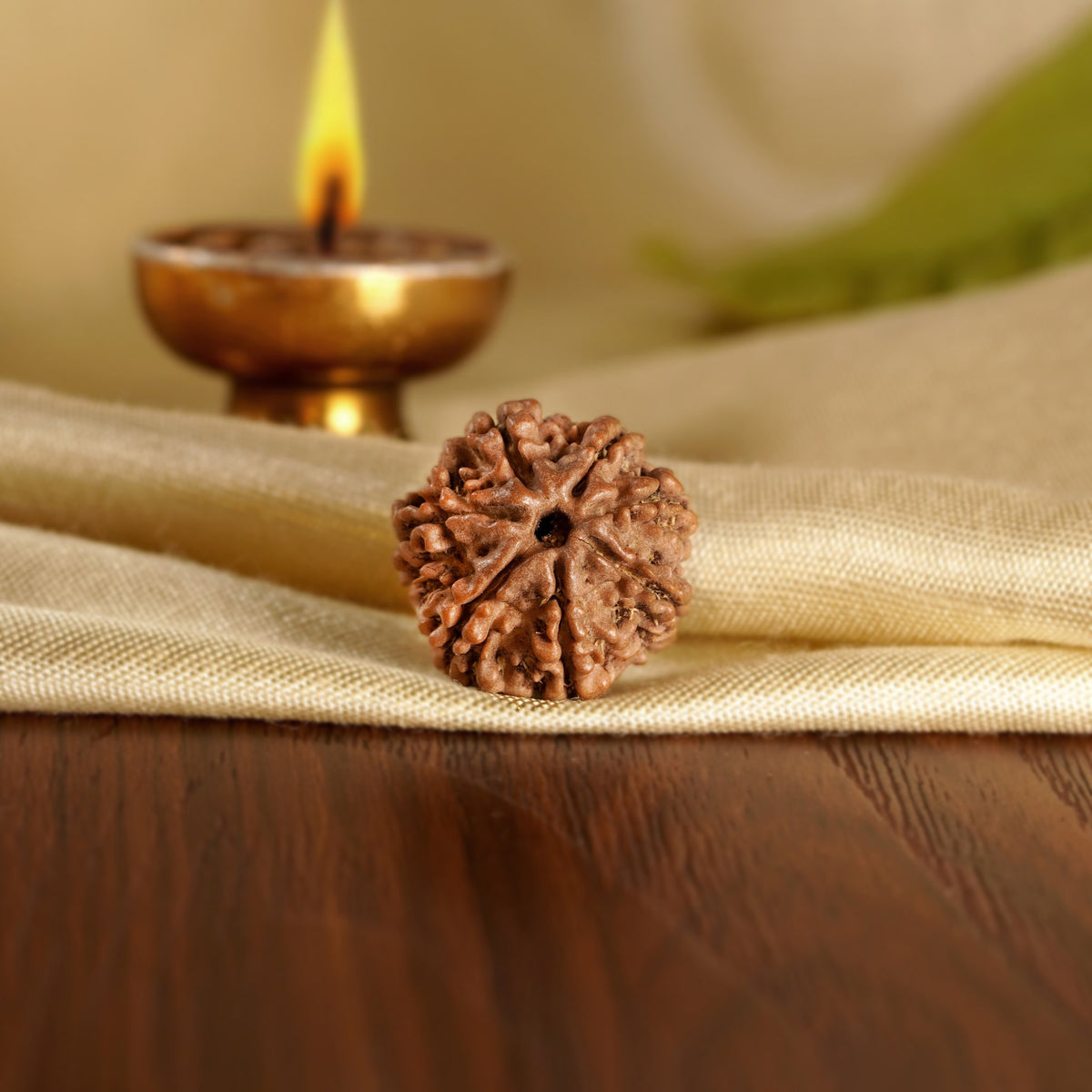 Front of the 7 Mukhi Rudraksha on silk beside a brass diya