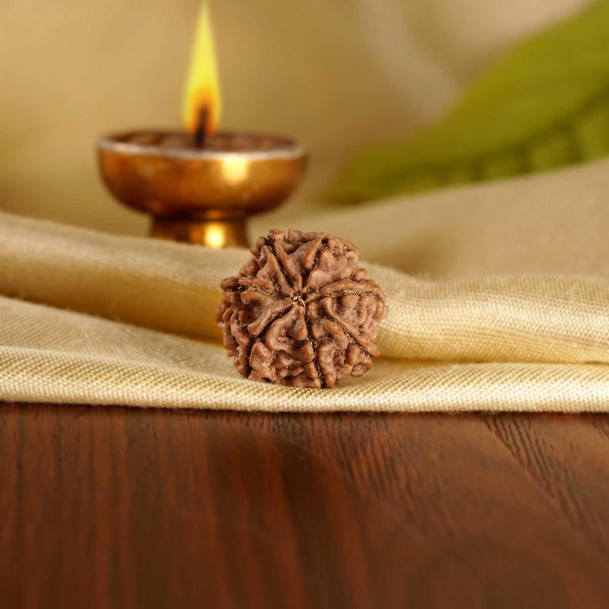 Back of the 7 Mukhi Rudraksha on silk